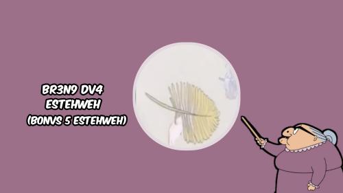 BR3N9 DV4 ESTEHWEH