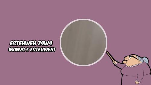 ESTEHWEH Z4W4