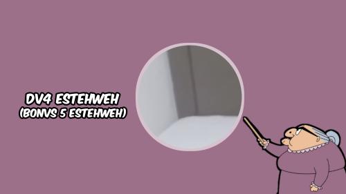 DV4 ESTEHWEH