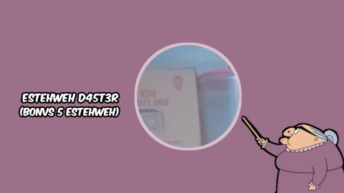 ESTEHWEH D4ST3R