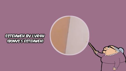 ESTEHWEH BV LVR4H