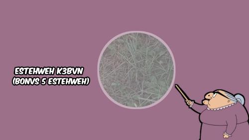 ESTEHWEH K3BVN