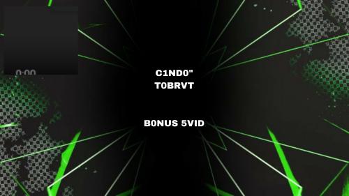 OFICIAL VIDER