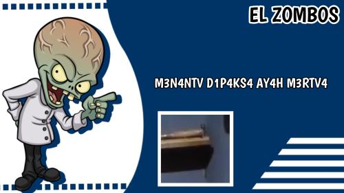 ay4h m3rtv4 