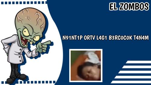n91nt1p 0rtv