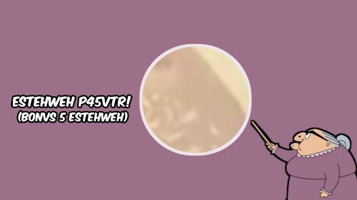 ESTEHWEH P45VTR1 