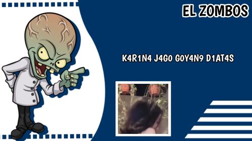 k4r1n4 