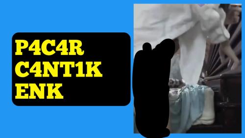 Pcr cntik