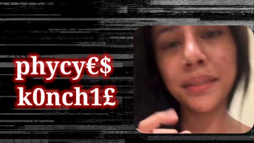 Phicies konchil