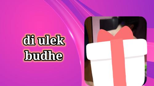Di ulek budhe