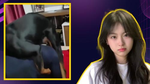 Sam4 peliharran