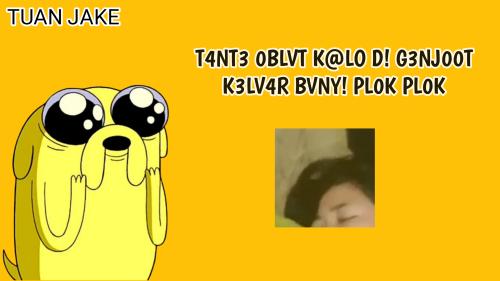 PLOK PLOK 