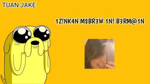 MSBREW