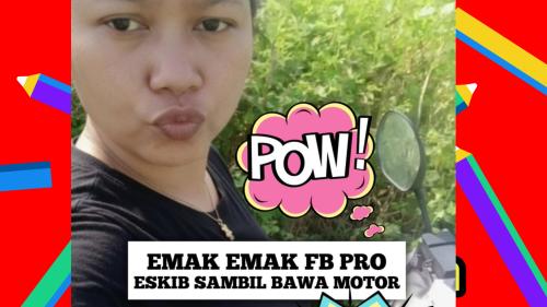 Emak fb pro