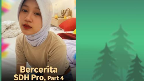 Bercerita pro