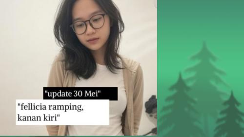 Update 30 mei