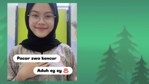 Bau bau gmn