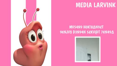 MUSANG HOKI