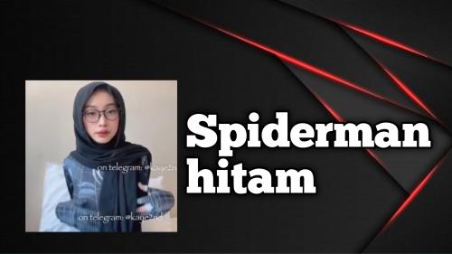Spiderman hit4m