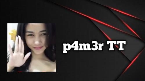 P4m3r