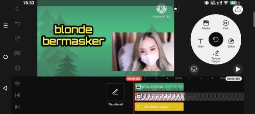 Blonde bermasker