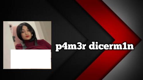 P4m3r dic3rm1n