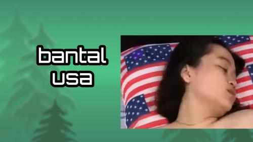 Bantal usa