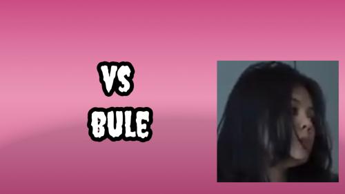 Vs bule